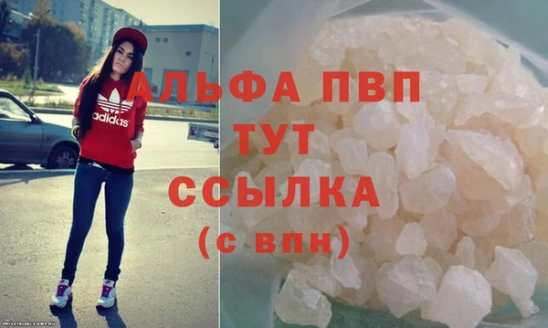 ешки Белокуриха